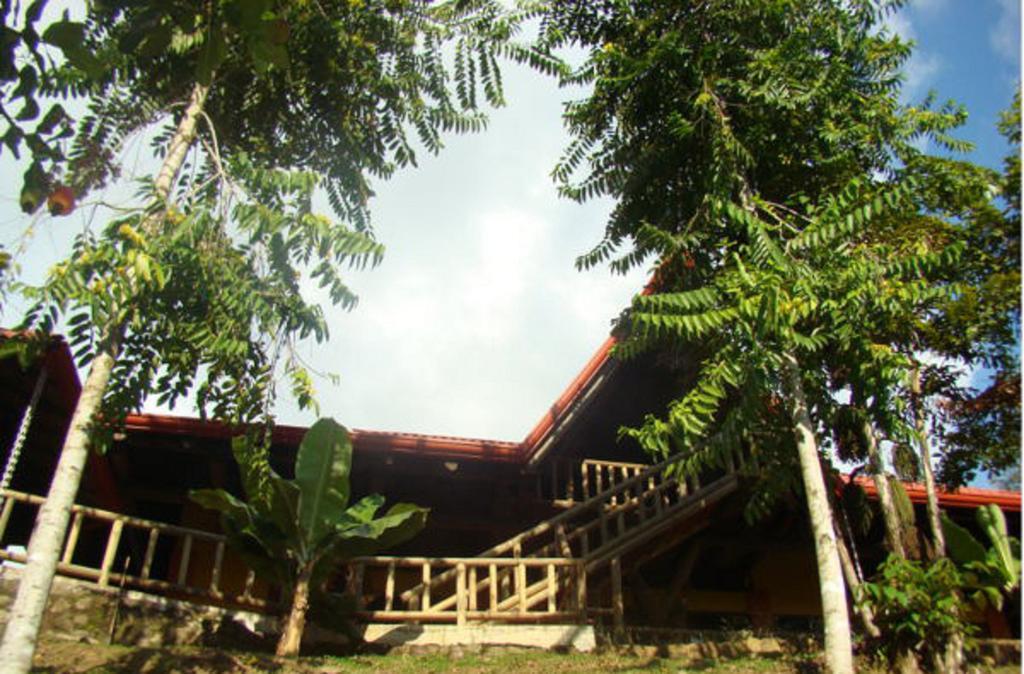 Samsara Uvita