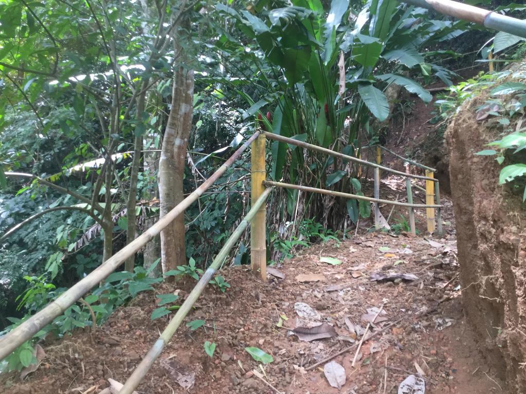 Hotel Samsara